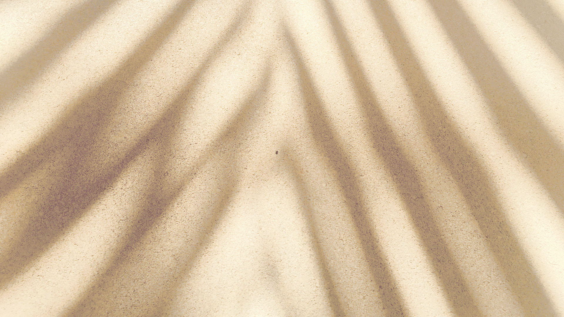 Featured image of post Record|要学会游泳吗