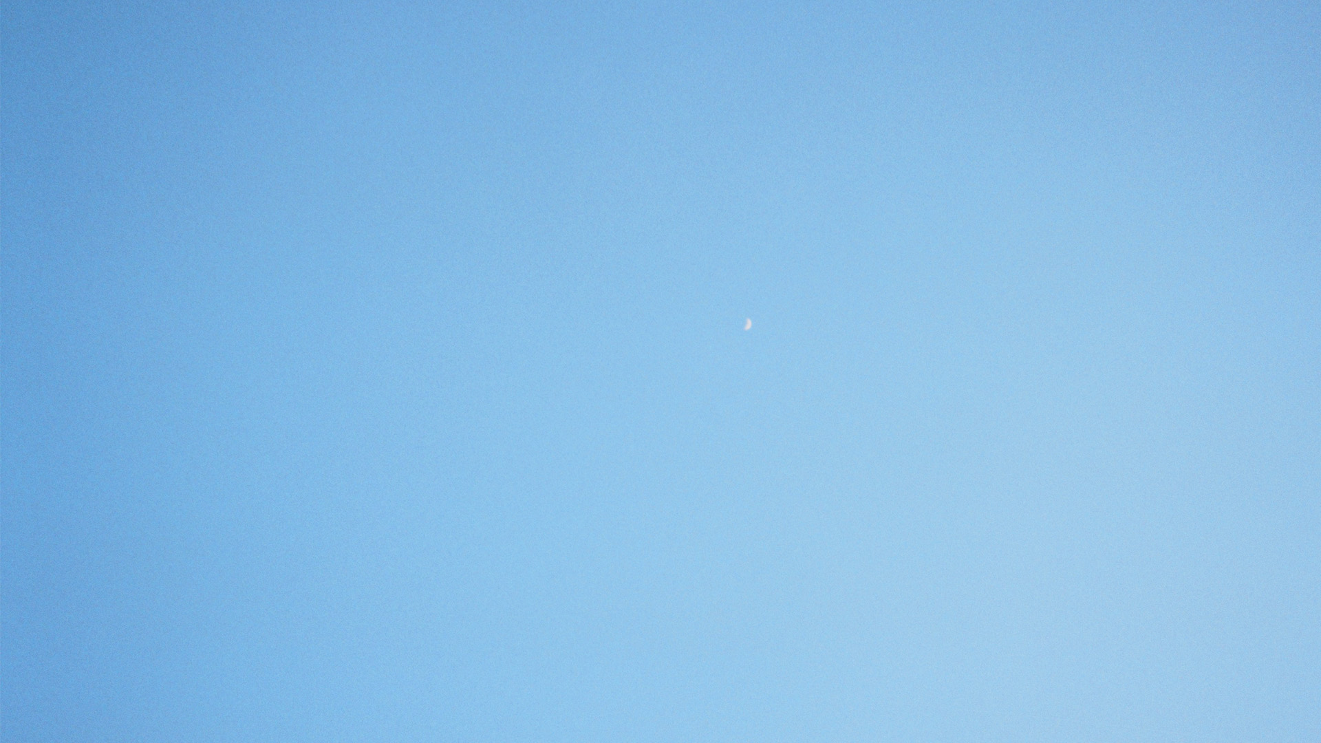 Featured image of post Record|All I imagine